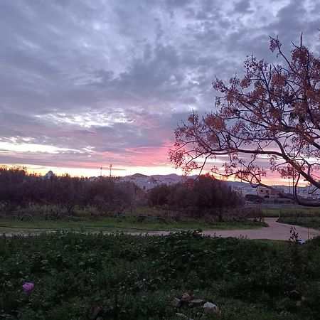 Ktima Dimitrios Βίλα Naxos City Εξωτερικό φωτογραφία