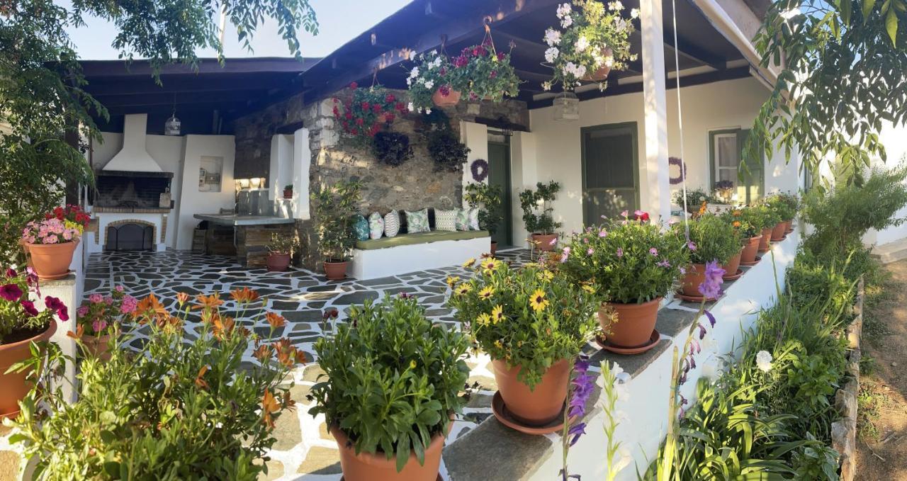 Ktima Dimitrios Βίλα Naxos City Εξωτερικό φωτογραφία