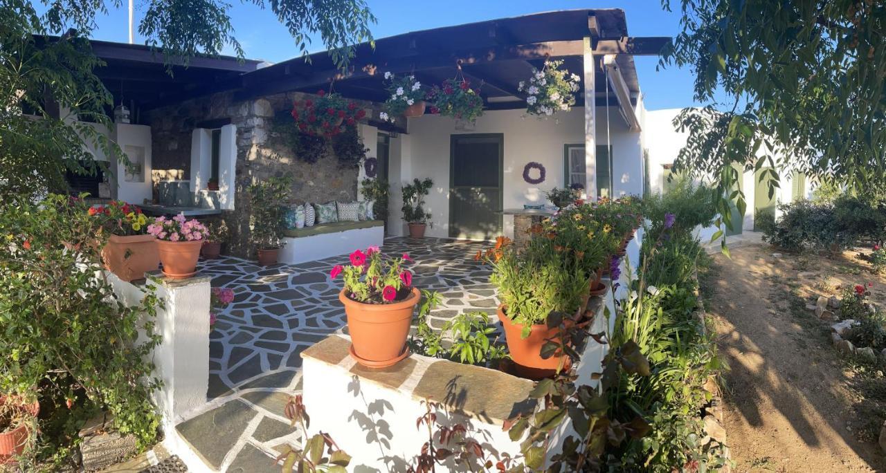 Ktima Dimitrios Βίλα Naxos City Εξωτερικό φωτογραφία