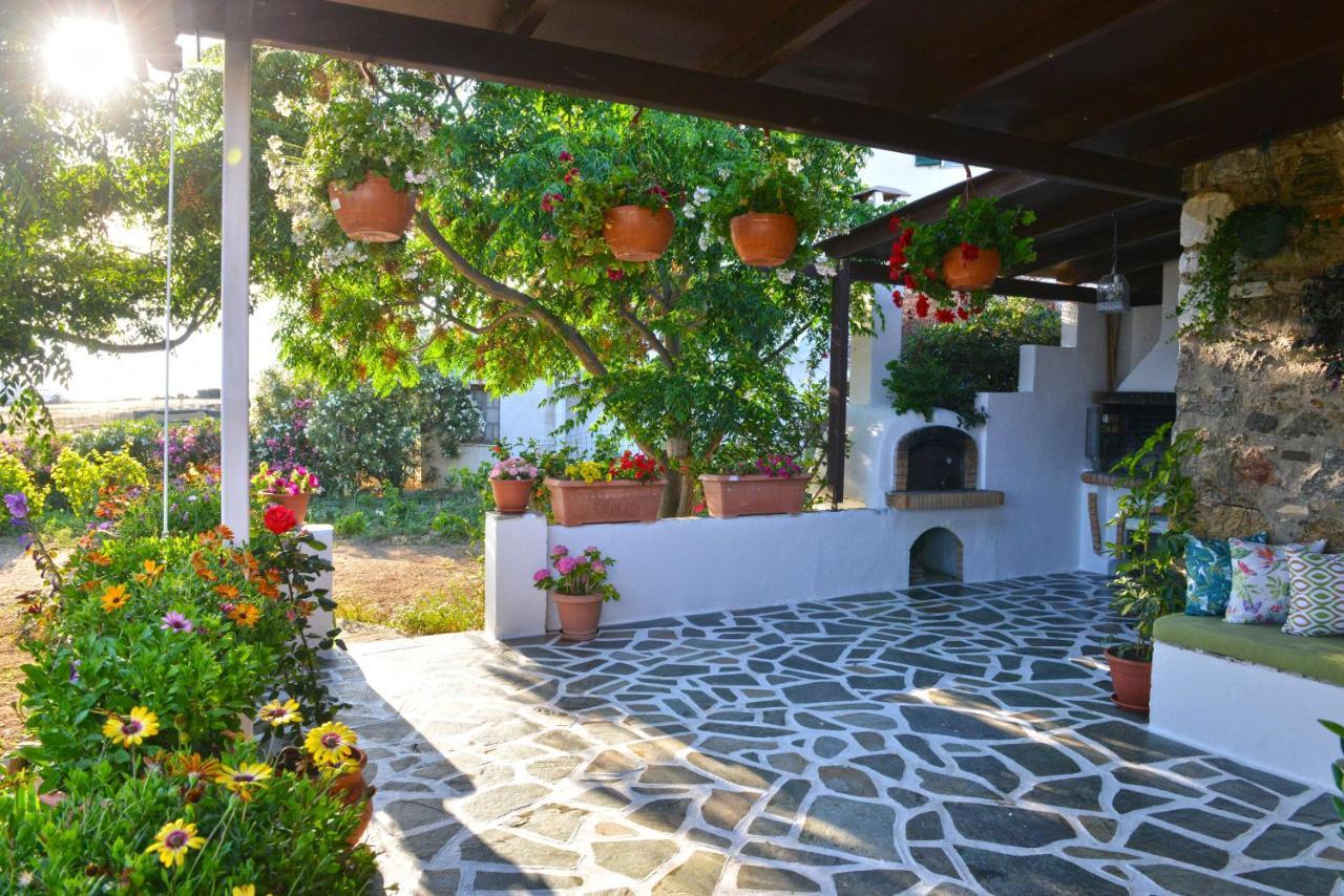 Ktima Dimitrios Βίλα Naxos City Εξωτερικό φωτογραφία