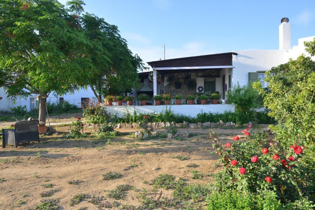 Ktima Dimitrios Βίλα Naxos City Εξωτερικό φωτογραφία