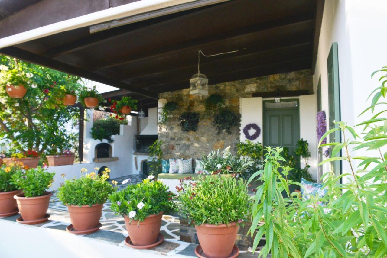 Ktima Dimitrios Βίλα Naxos City Εξωτερικό φωτογραφία