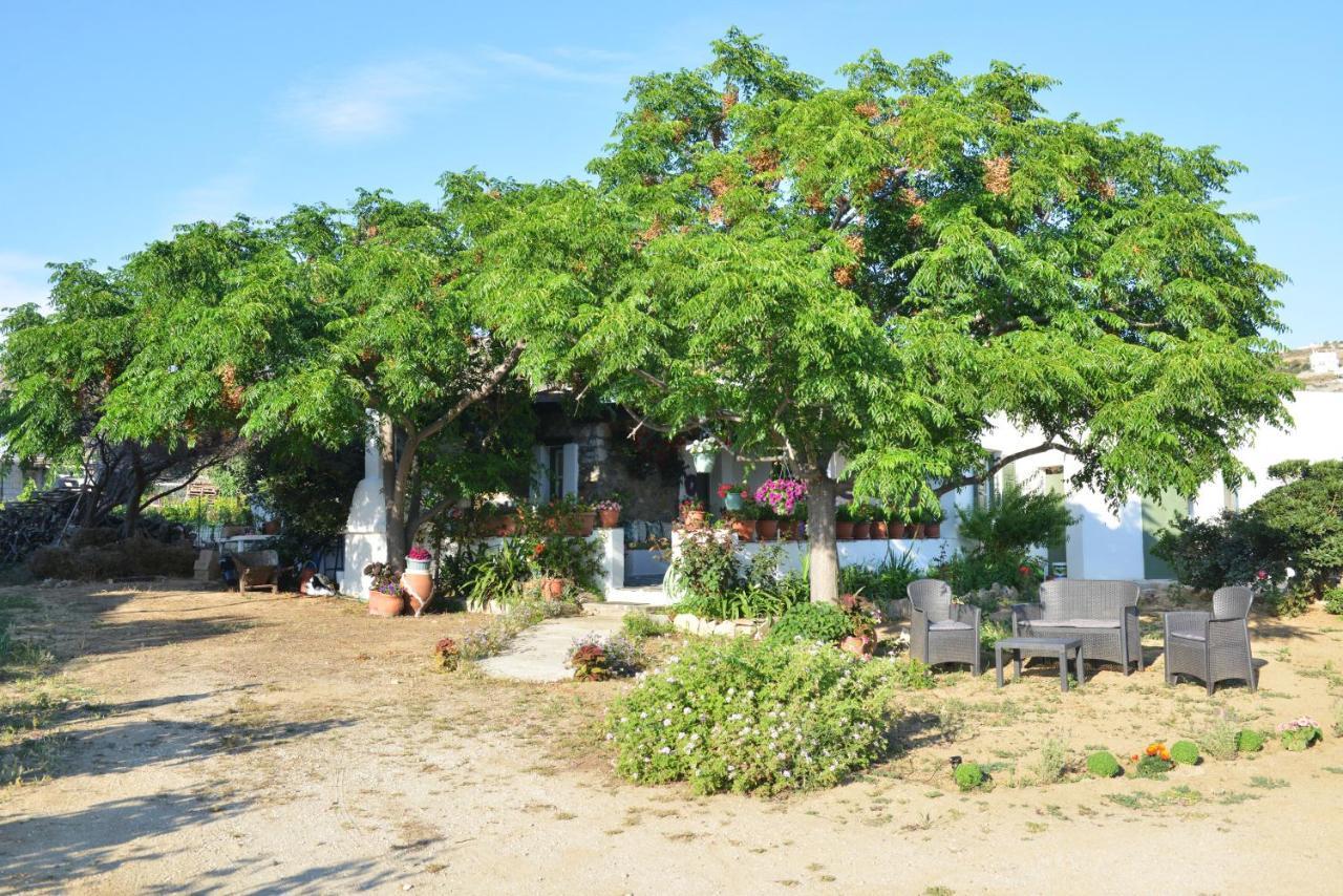 Ktima Dimitrios Βίλα Naxos City Εξωτερικό φωτογραφία