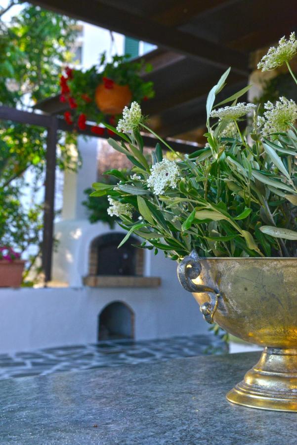 Ktima Dimitrios Βίλα Naxos City Εξωτερικό φωτογραφία