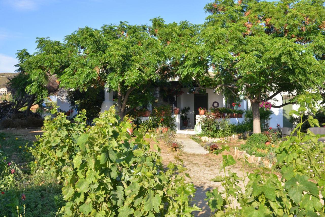 Ktima Dimitrios Βίλα Naxos City Εξωτερικό φωτογραφία