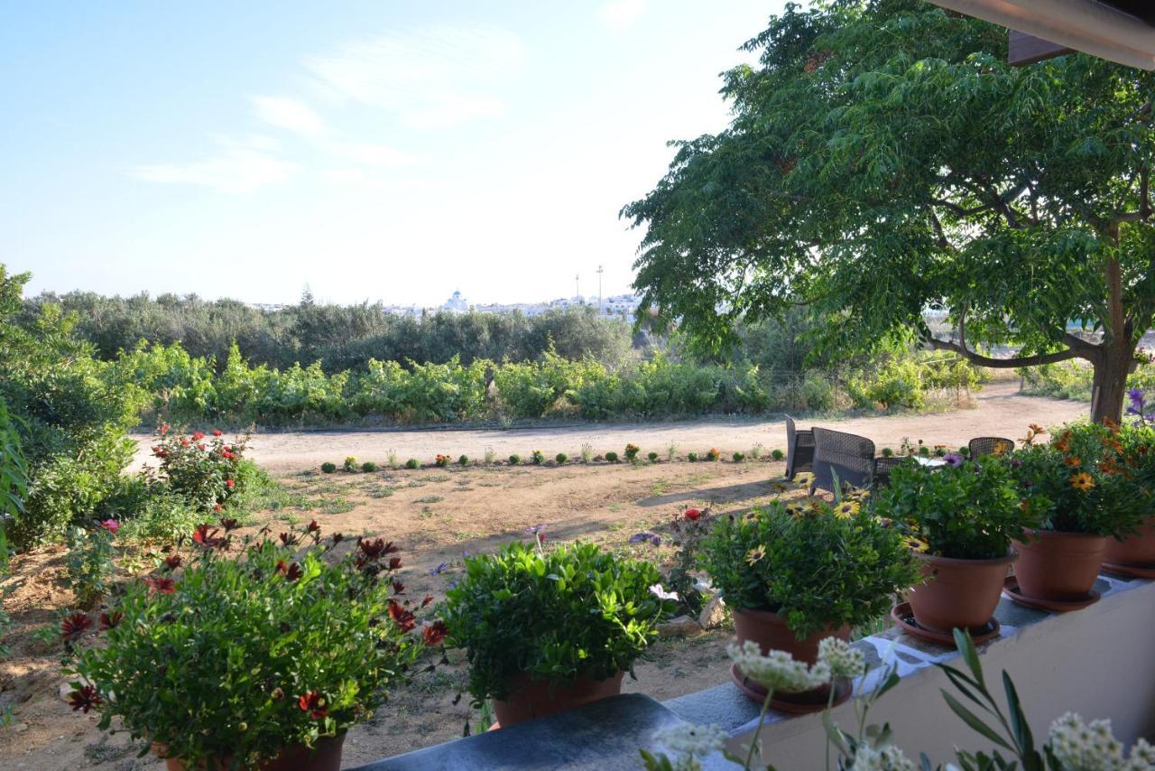 Ktima Dimitrios Βίλα Naxos City Εξωτερικό φωτογραφία