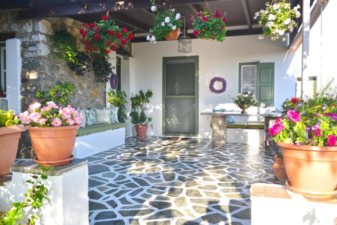 Ktima Dimitrios Βίλα Naxos City Εξωτερικό φωτογραφία