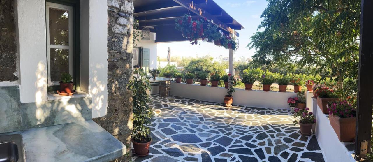 Ktima Dimitrios Βίλα Naxos City Εξωτερικό φωτογραφία