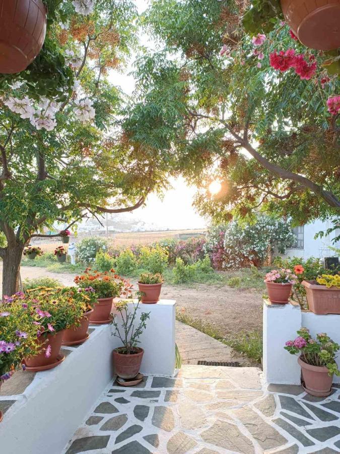 Ktima Dimitrios Βίλα Naxos City Εξωτερικό φωτογραφία
