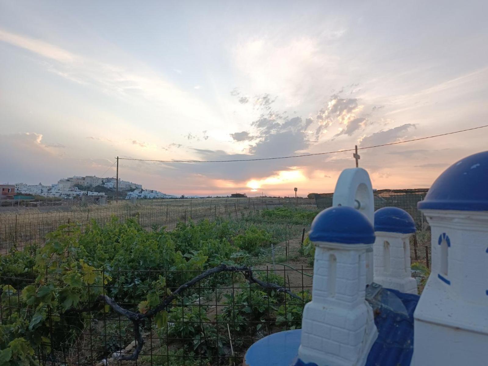 Ktima Dimitrios Βίλα Naxos City Εξωτερικό φωτογραφία