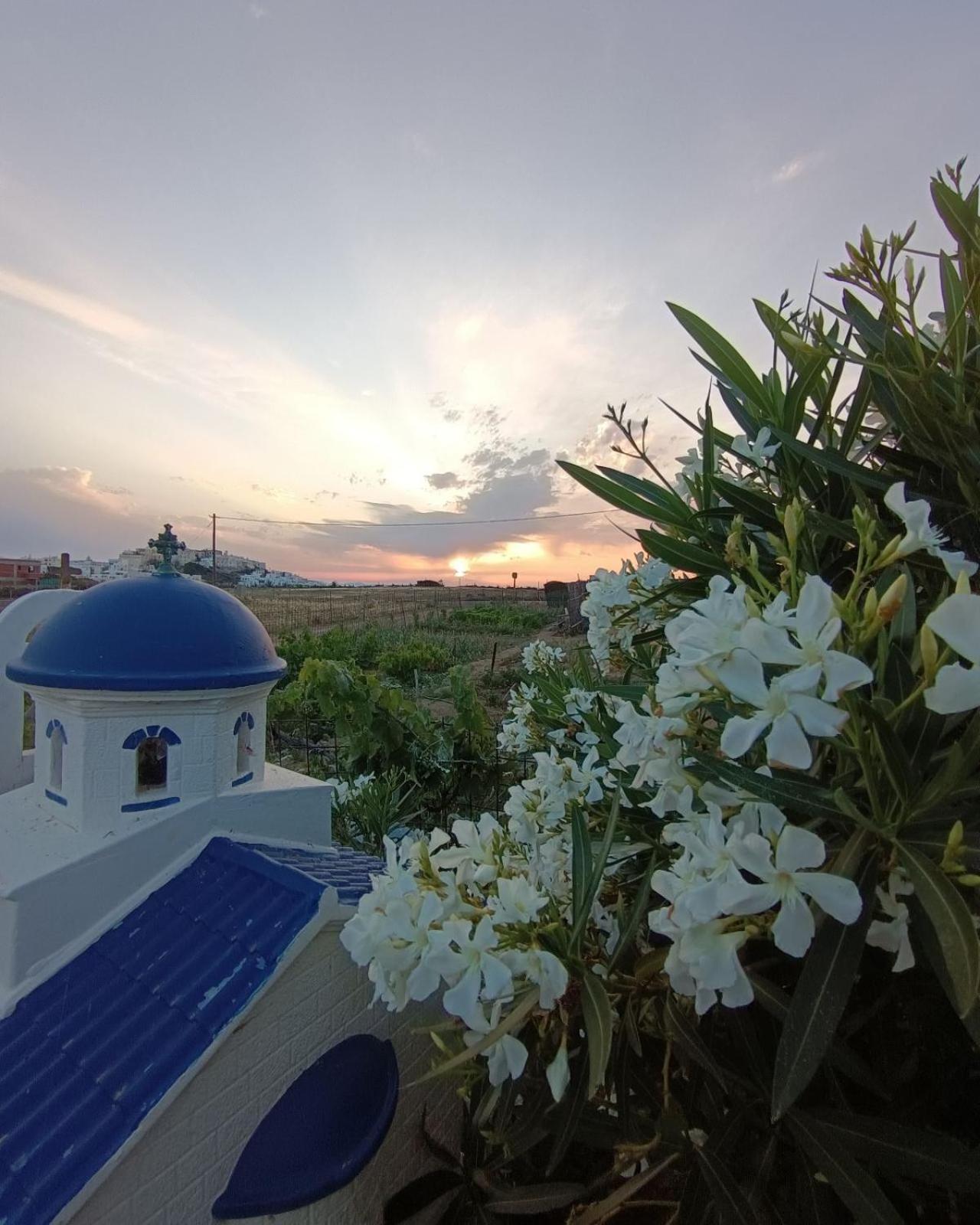 Ktima Dimitrios Βίλα Naxos City Εξωτερικό φωτογραφία