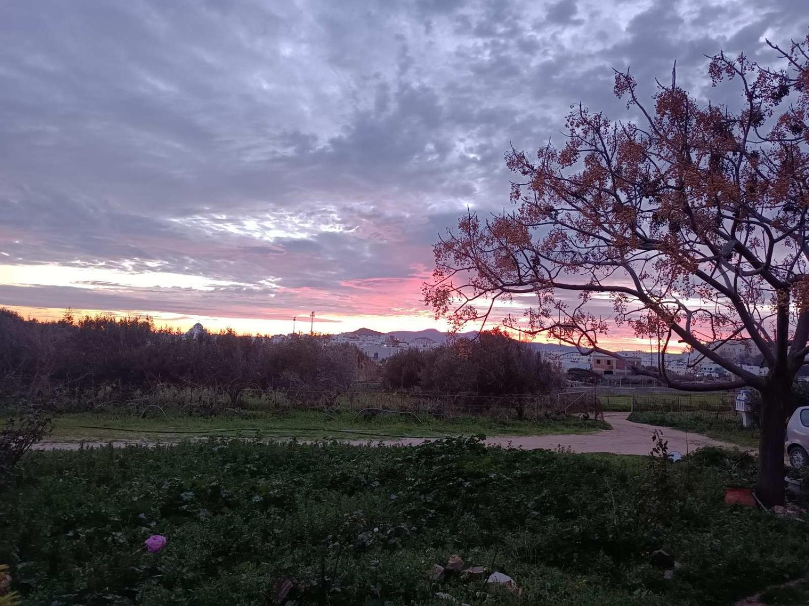 Ktima Dimitrios Βίλα Naxos City Εξωτερικό φωτογραφία